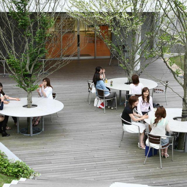 Japan 17 Research Quality of Life